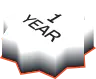 گارانتی ۱۲ ماهه