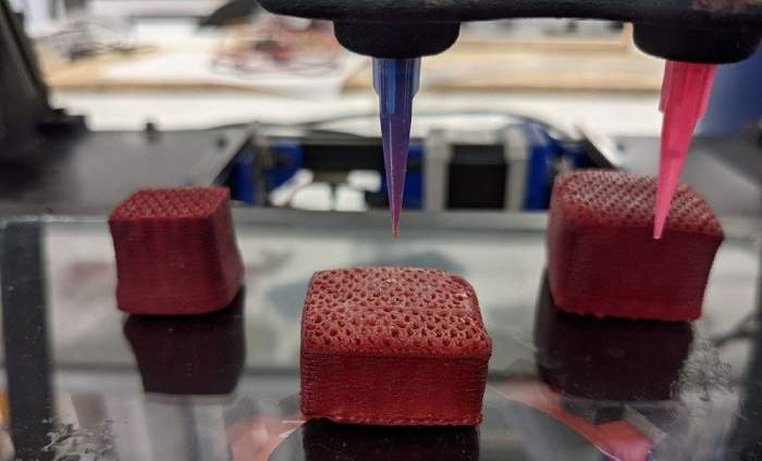 تنوع غذاهای پرینت سه بعدی