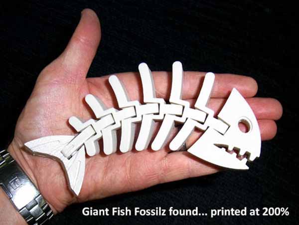 انواع پرینت سه بعدی ماهی